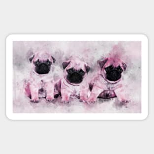 Pink Pug Puppies. Dog Watercolor Portrait 01 Sticker